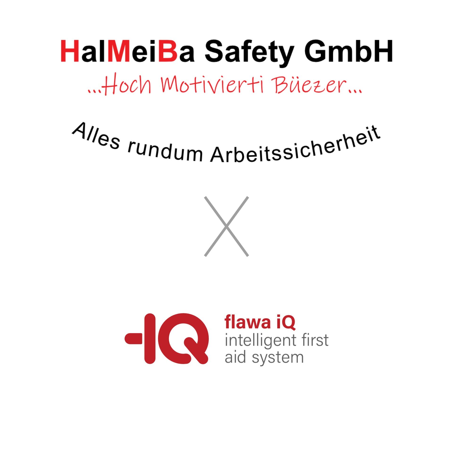 Halmeiba_VermitllerXflawaiQ-Partnerlogo-1