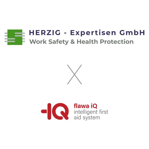 Partner-Herzig_Expertisen_XflawaiQ-Partnerlogo