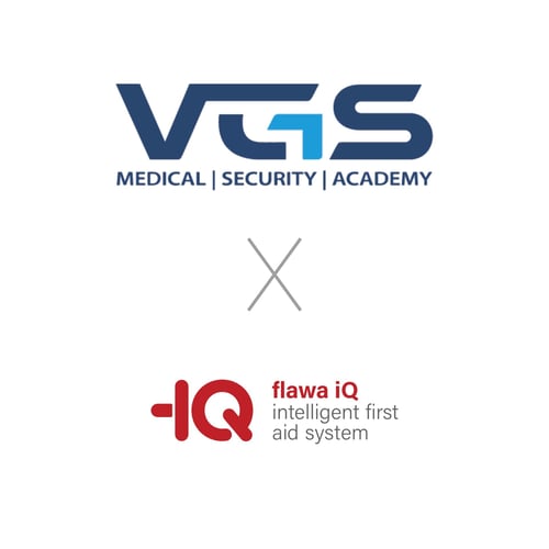 VGSXflawaiQ-Partnerlogo